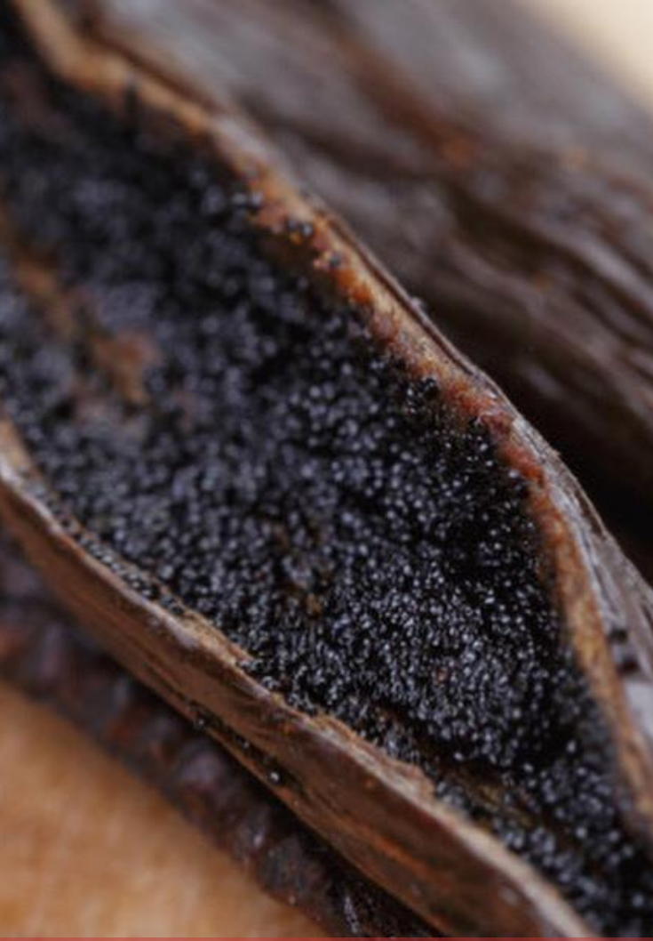 Close-up of a split vanilla bean showing the seeds inside